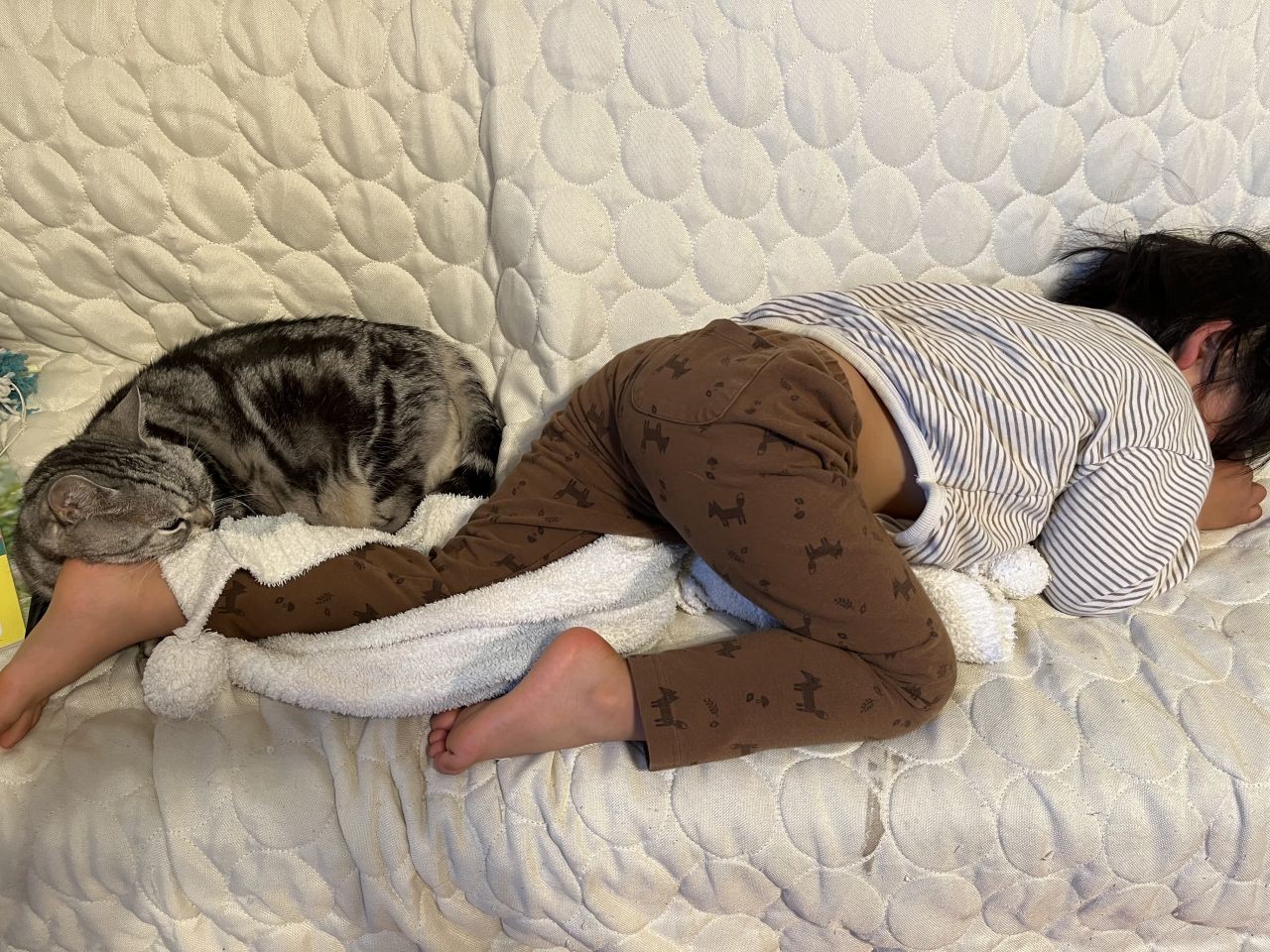 B925A2EE-E2F7-4384-874C-18D9A0B9B2F3