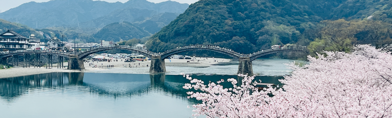 めっちゃご無沙汰です